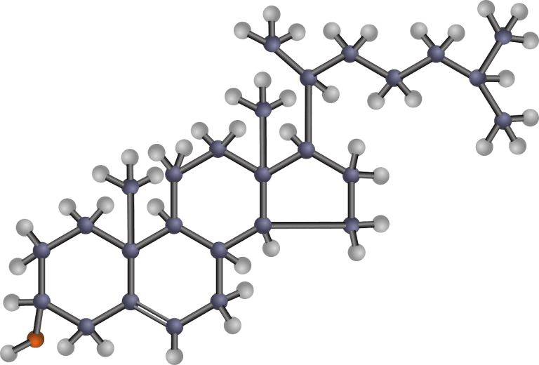 colesterol