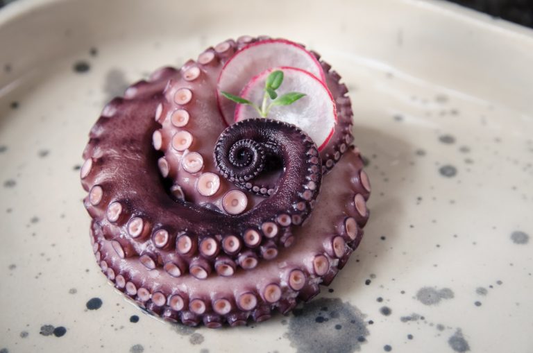 ¿Se puede comer pulpo en el embarazo?
